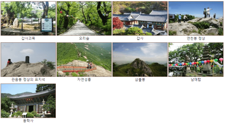 갑사볼거리