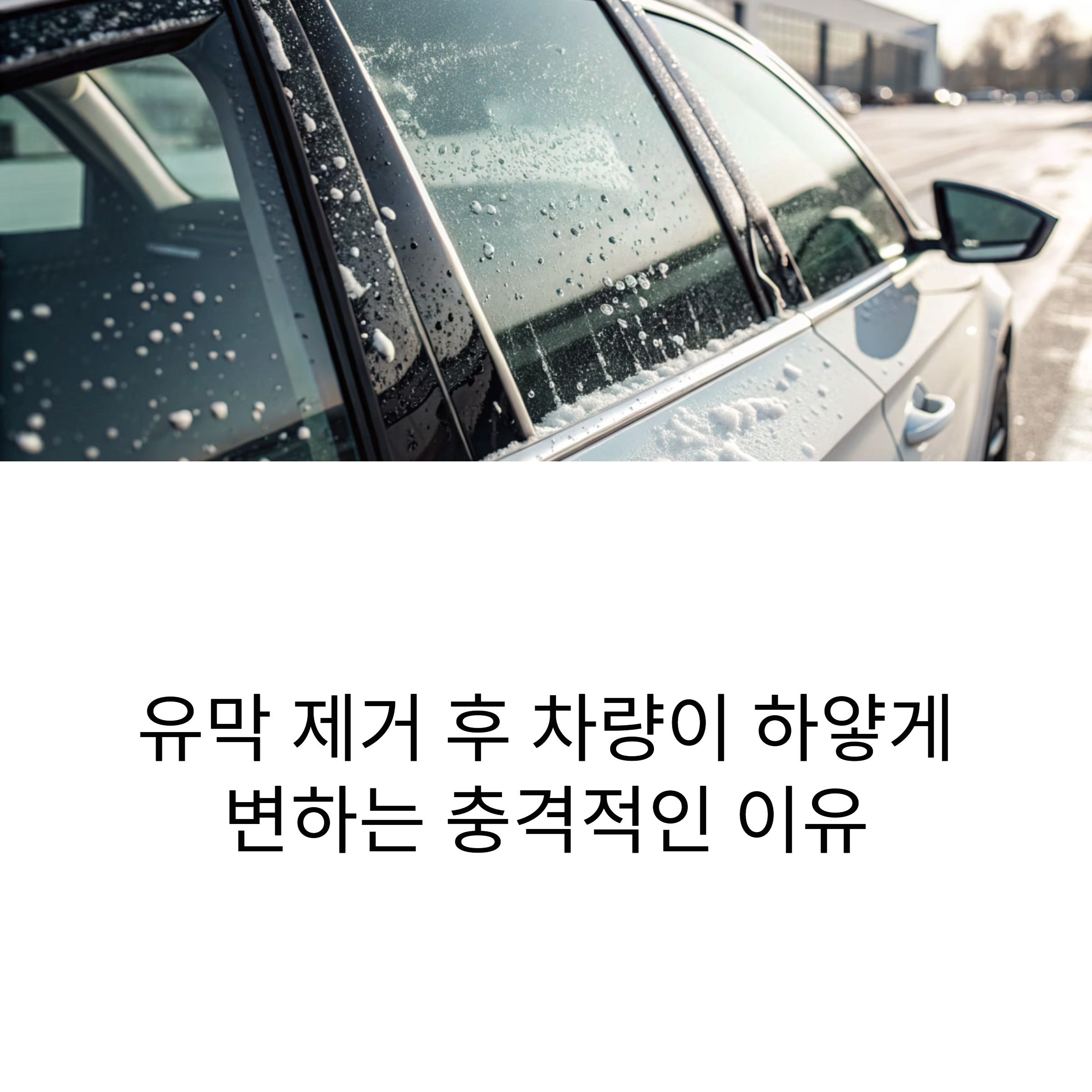 자동차 유막제거