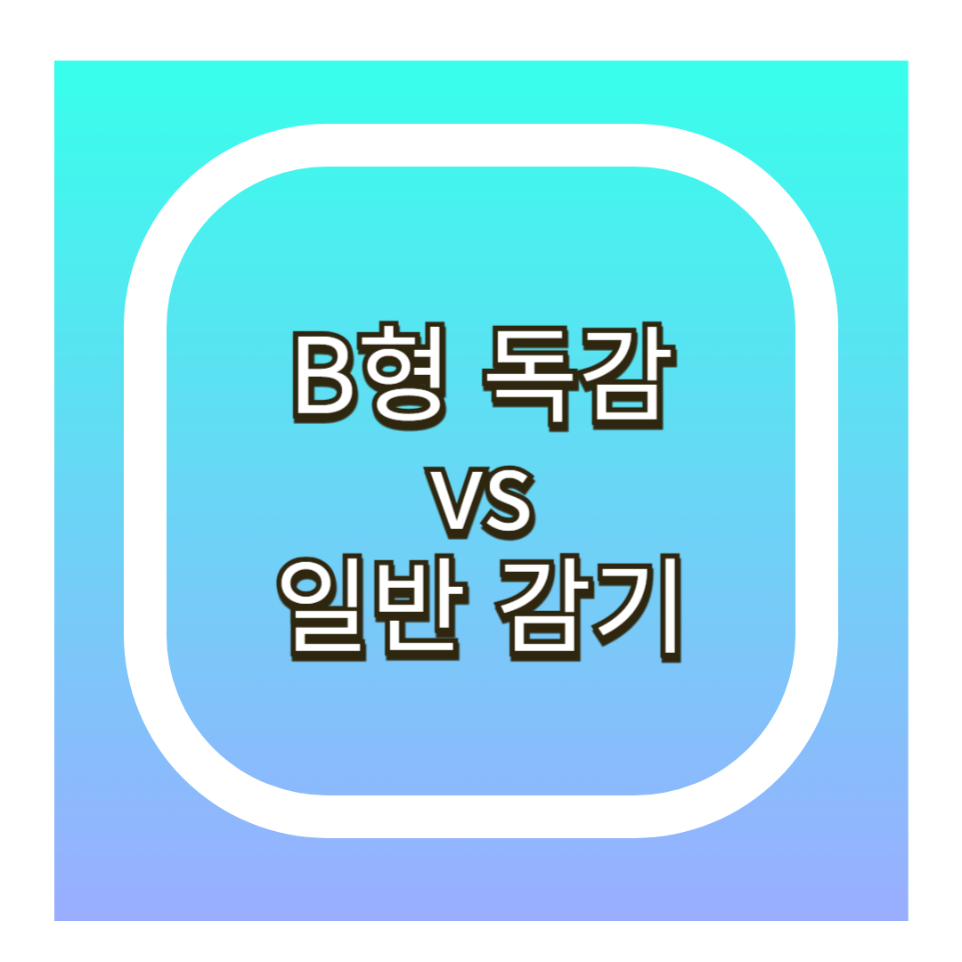 b형 독감 차이점