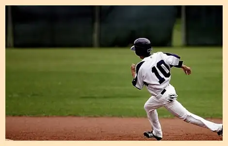 야구 프리미어12 명단