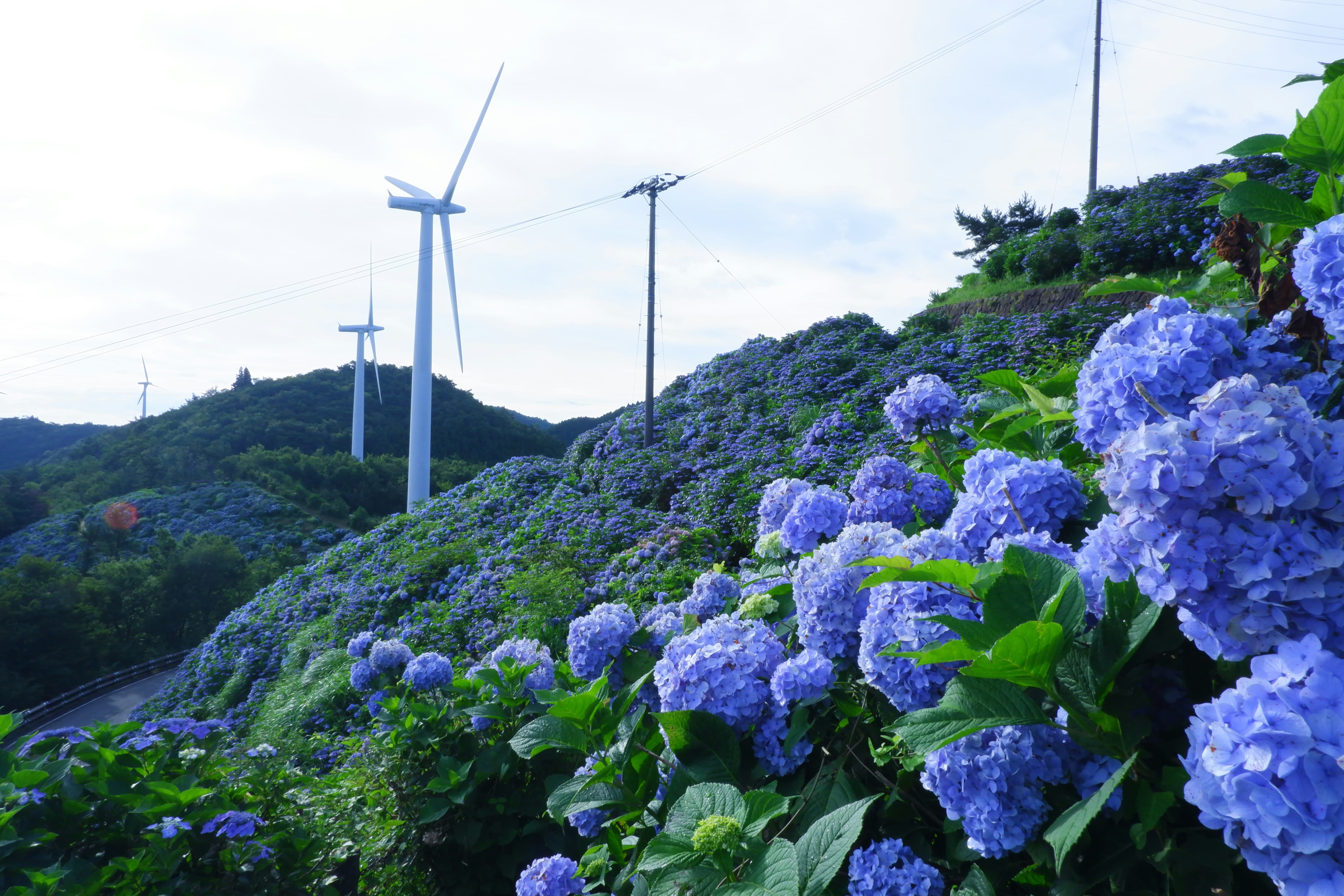 6월 서울 부산 축제 가볼만한 곳 총정리