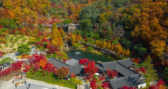겨울의 매력