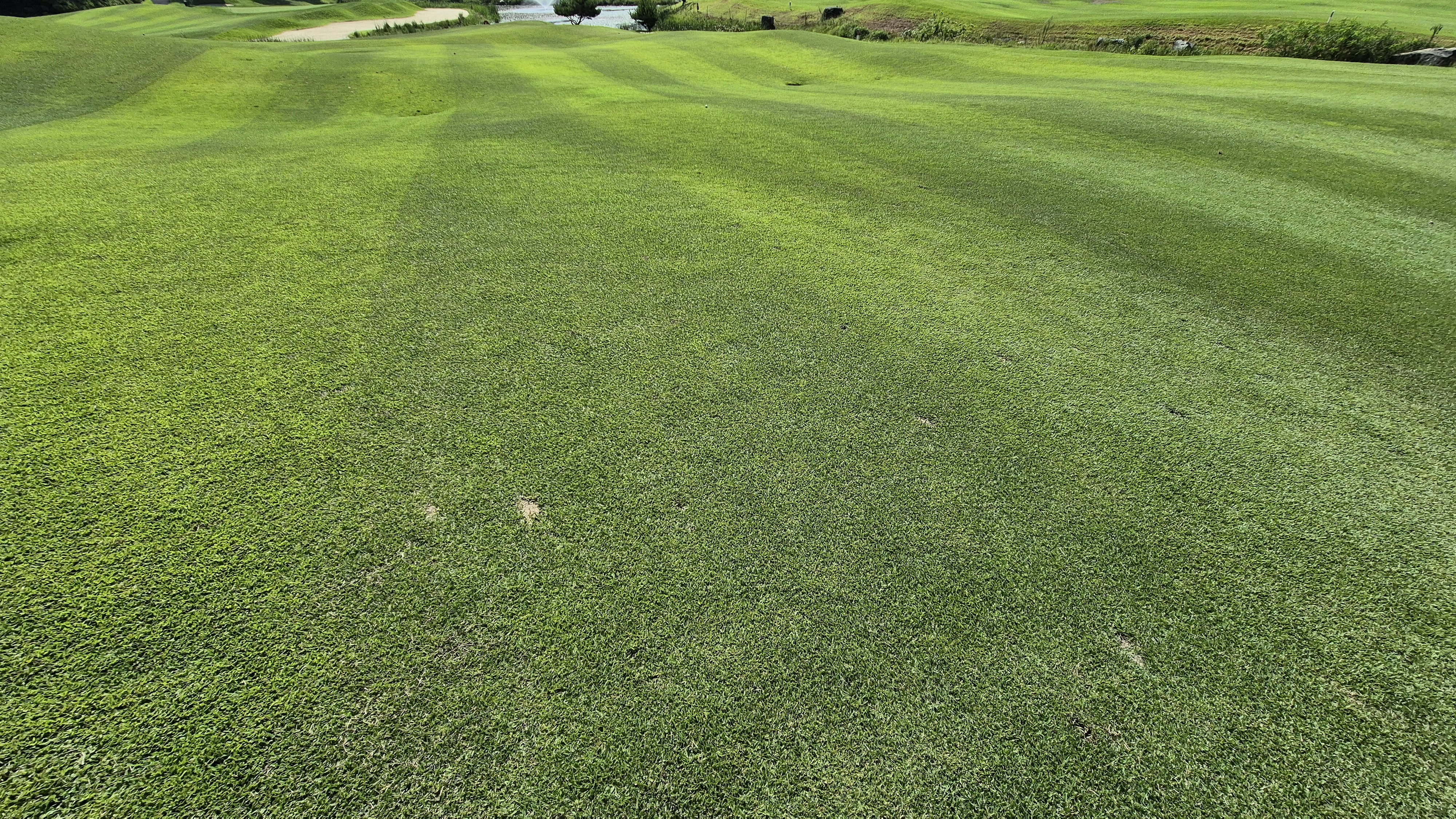 골프존카운티 천안 라운드 후기