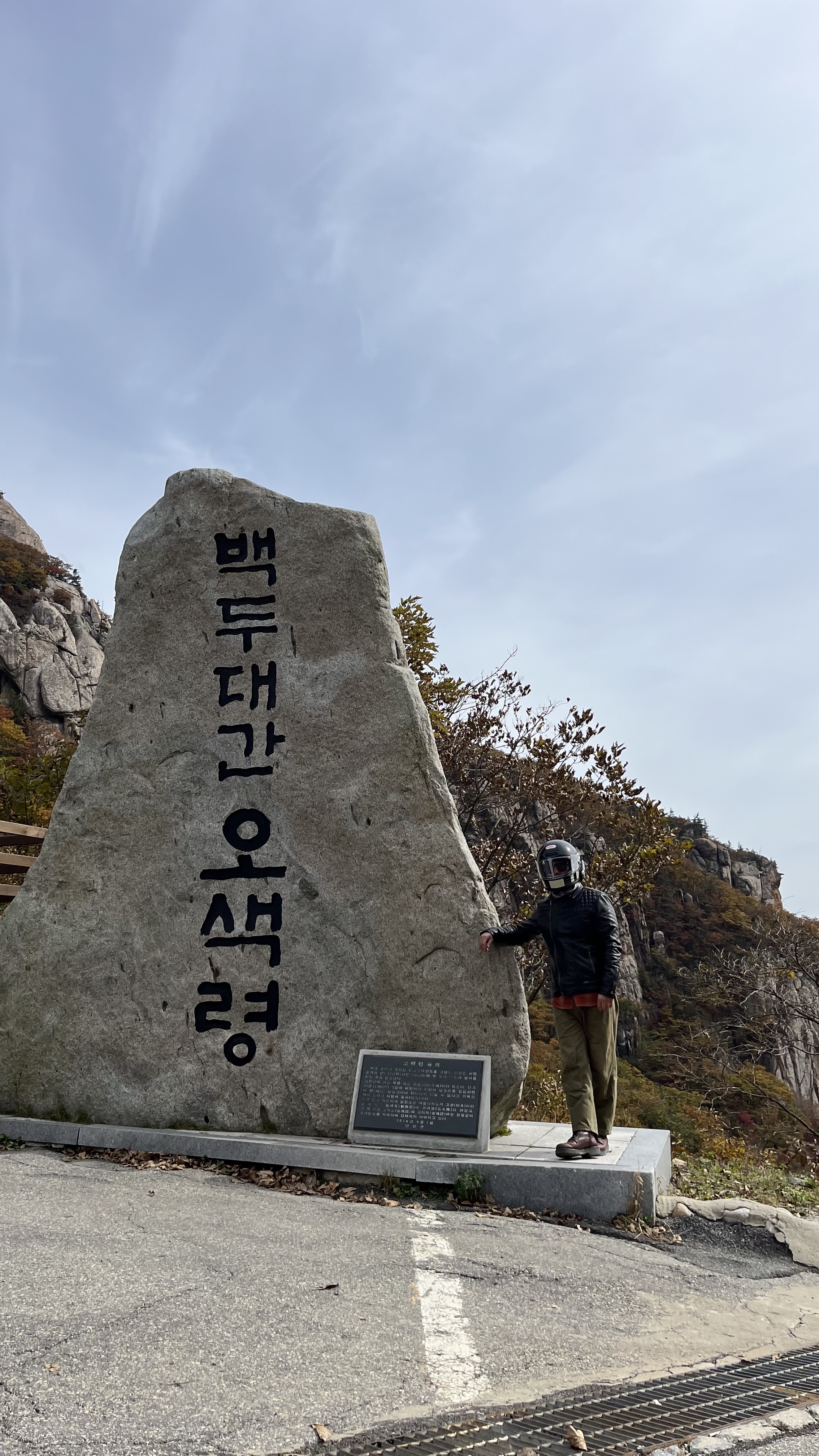 대체텍스트