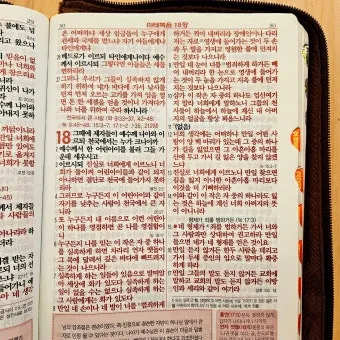 마태복음 18장 : 천국에서 큰 사람_38