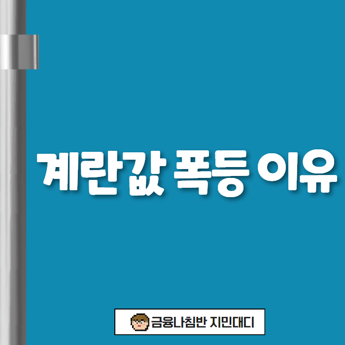 계란값 폭등 이유 01