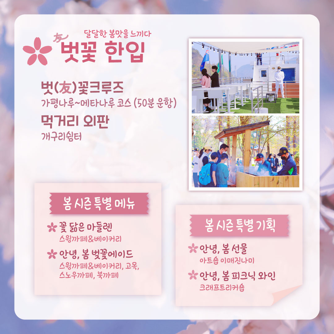 벚꽃축제 일정