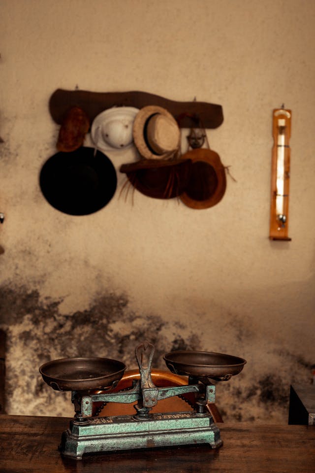 조선 생활사 흥정법