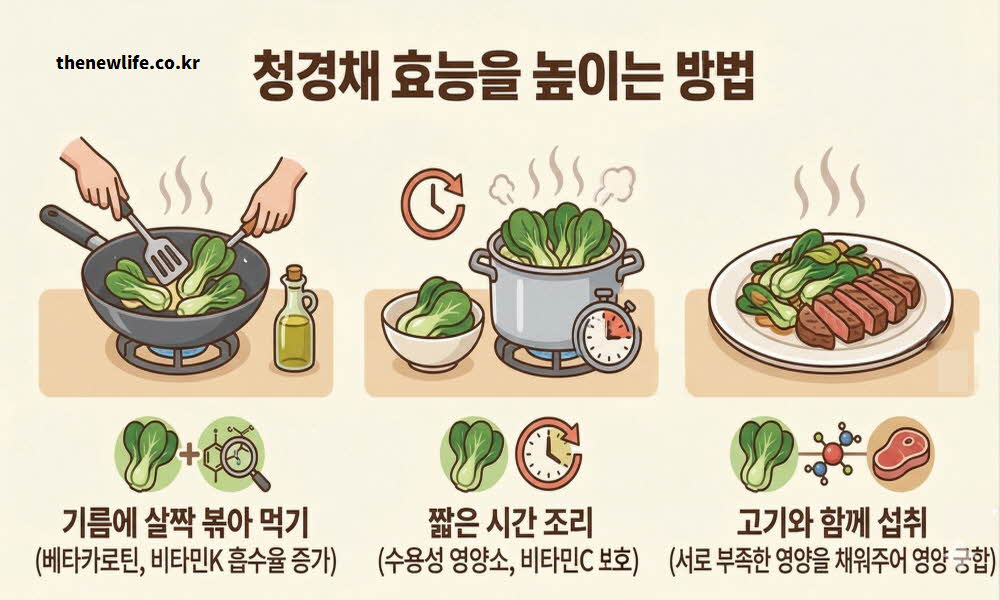 청경채 효능 높이는 조리법 먹는법