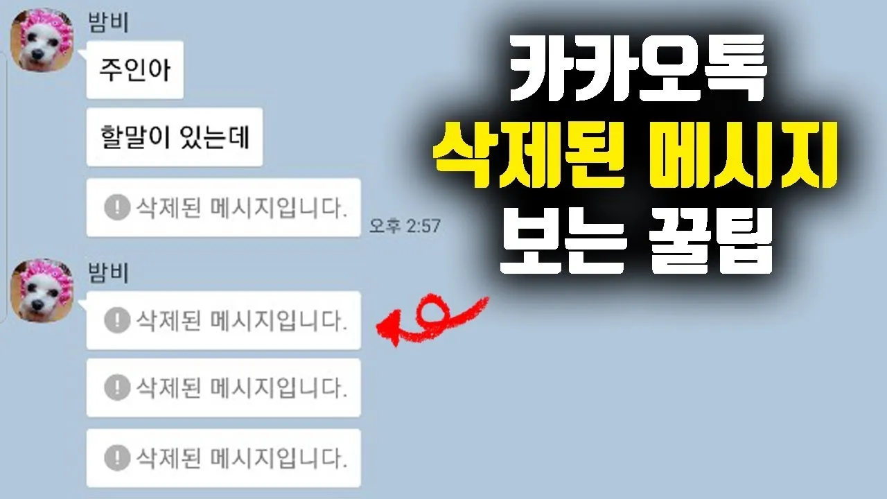 카톡 삭제된 메시지 보는방법 복구 방법 아이폰 갤럭시_1
