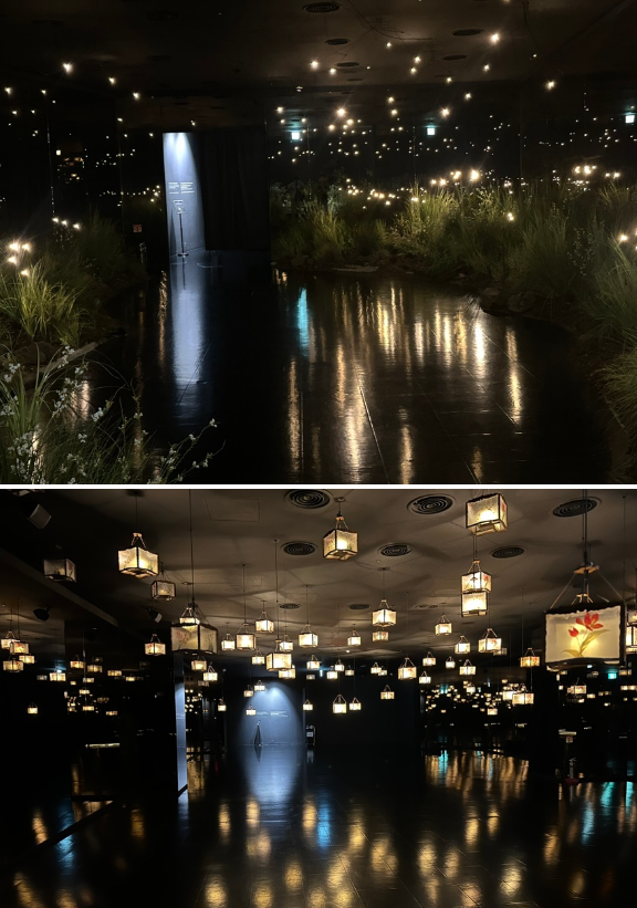 연화 미디어 아트 사진