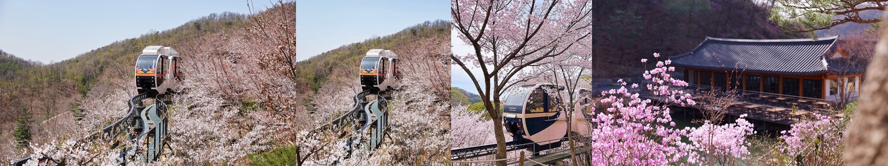 화담숲 모노레일