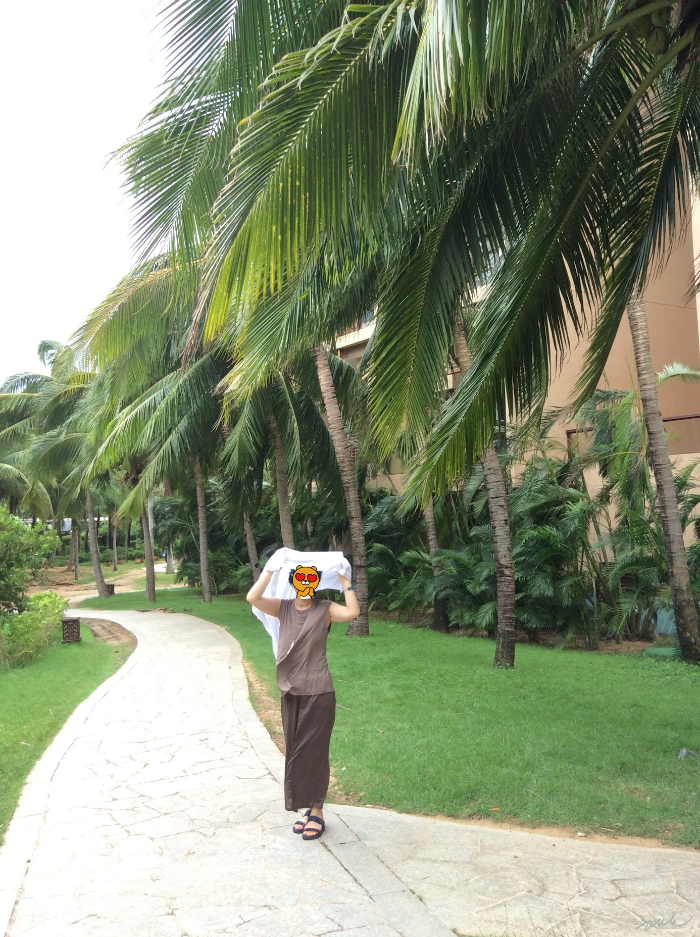 야자수길 사이로 이어진 산책길