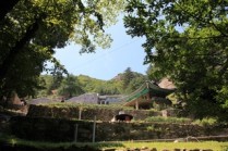 호남의 금강산, 대둔산: 자연의 경이로움