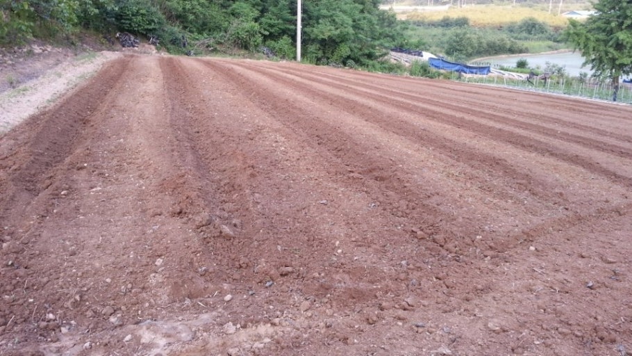 들깨 파종전 토양준비