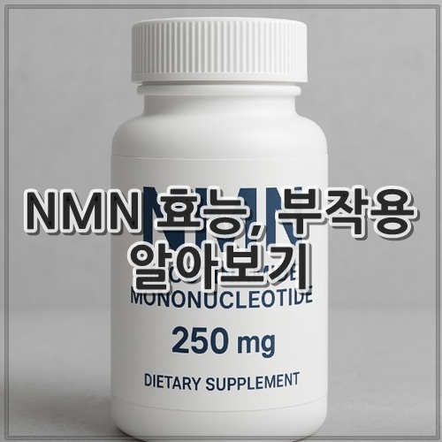 NMN 효능, 부작용 알아보기