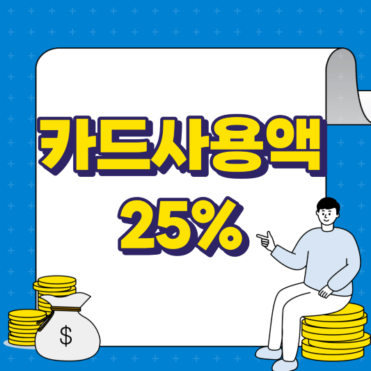 카드사용액 25%