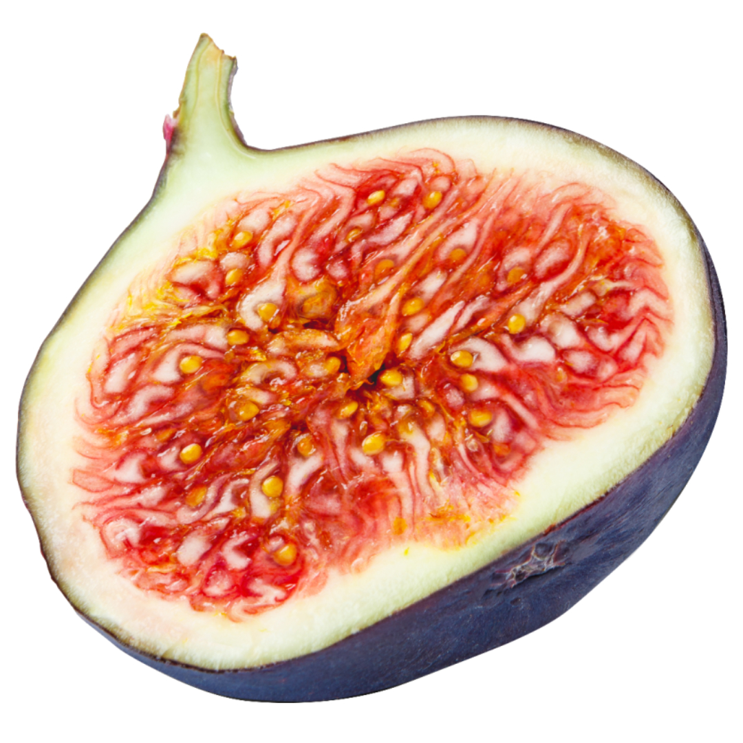 무화과와 관련된 사진입니다.