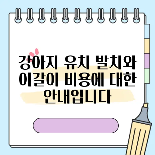 강아지 유치 발치와 이갈이 비용에 대한 안내입니다