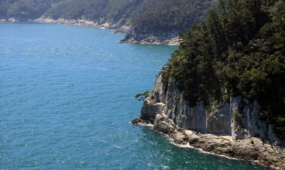 수국도 보고 힐링도 하는 통영 연화도 백패킹 완전 가이드