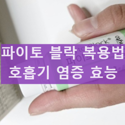 닥터파이토 파이토블락 삼백초 효능 부작용 호흡기 비염 복용 후기