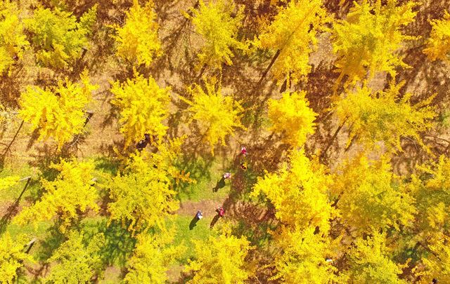 [파란형-Tipoazul] 10월 여행 추천 꿀팁 /당일치기 여행 /매년 찾아가는 곳/당일치기/ 여행으로 떠나는10월 가을여행지 추천 BEST / 10월 여행하기 좋은 곳 장소