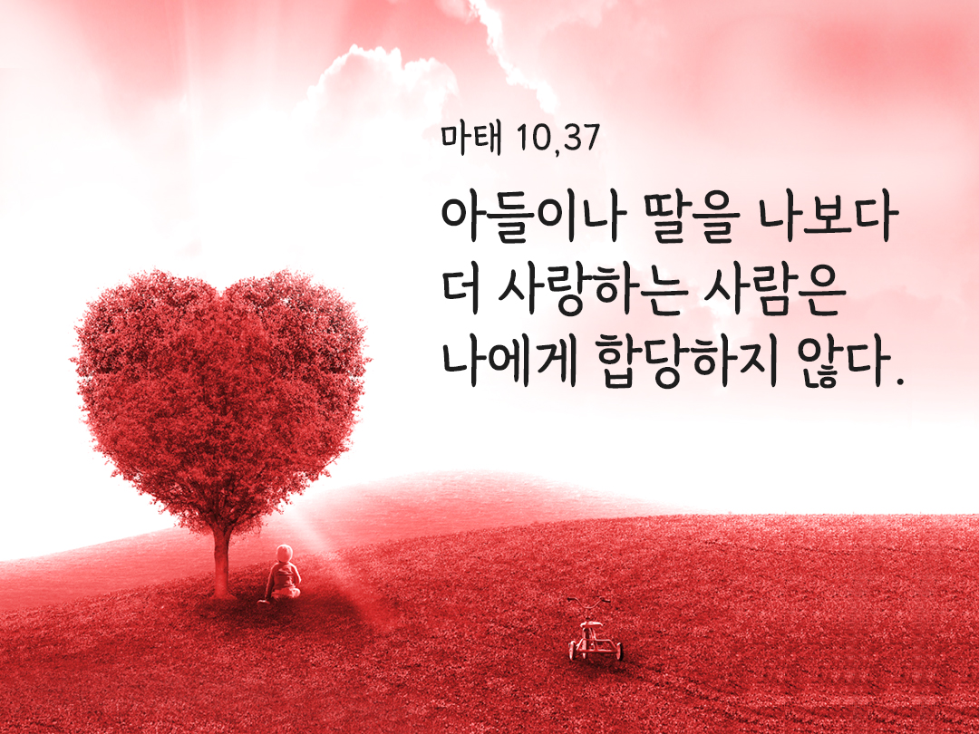 아들이나 딸을 나보다 더 사랑하는 사람은 나에게 합당하지 않다. (마태 10&#44;37)