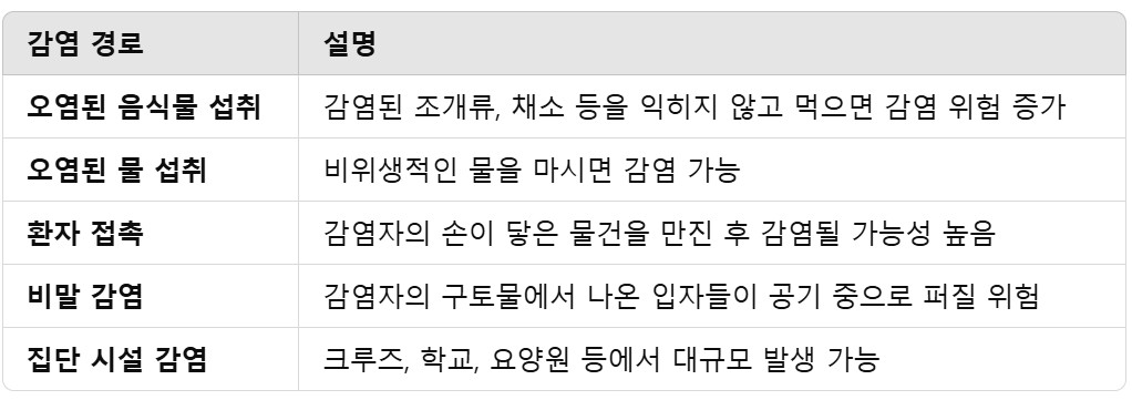 노로바이러스 증상