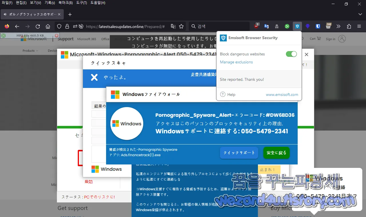 Emsisoft Browser Security 신고
