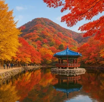 내장산 단풍 절정시기, 국립공원, 등산코스, 케이블카, 자원휴양림, 생태탐방원, 맛집_31