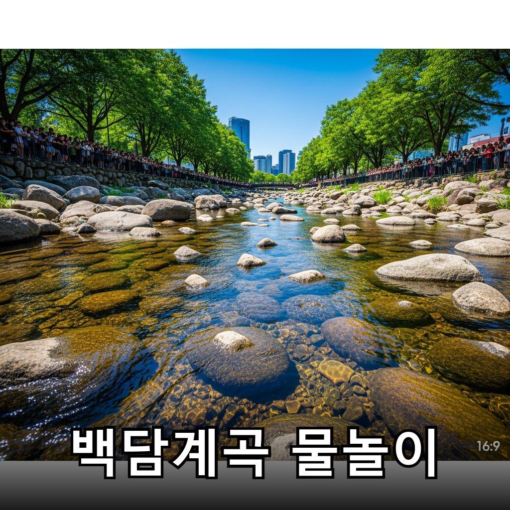 맑고 투명한 계곡물이 흐르는 모습
