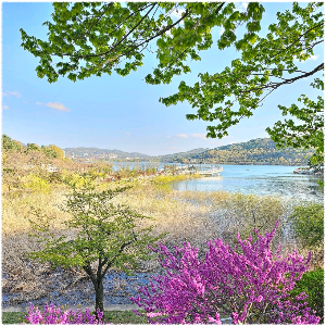 보문호