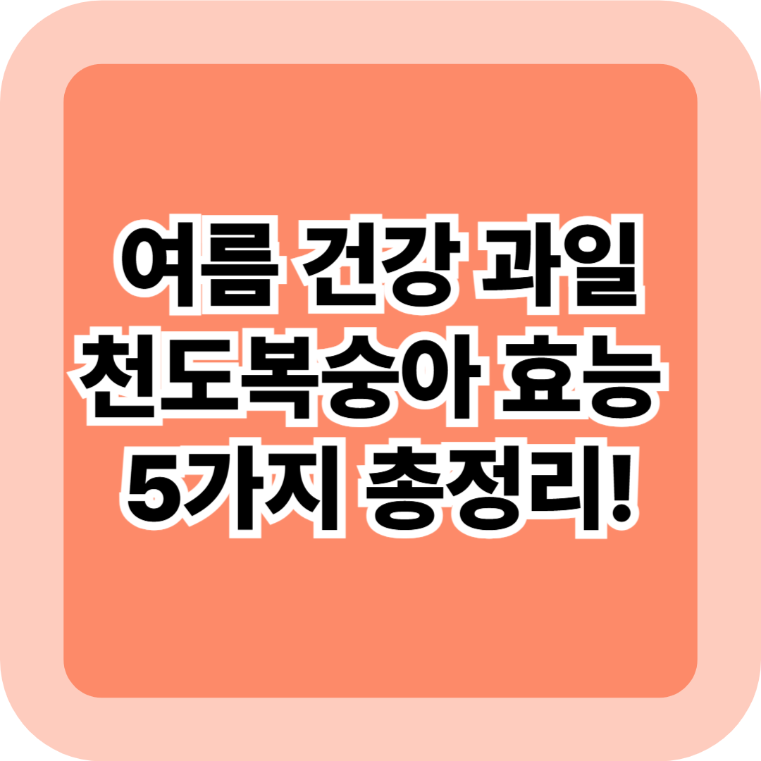 천도복숭아 효능 5가지! 피로회복에 좋은 여름 제철 건강 과일 총정리