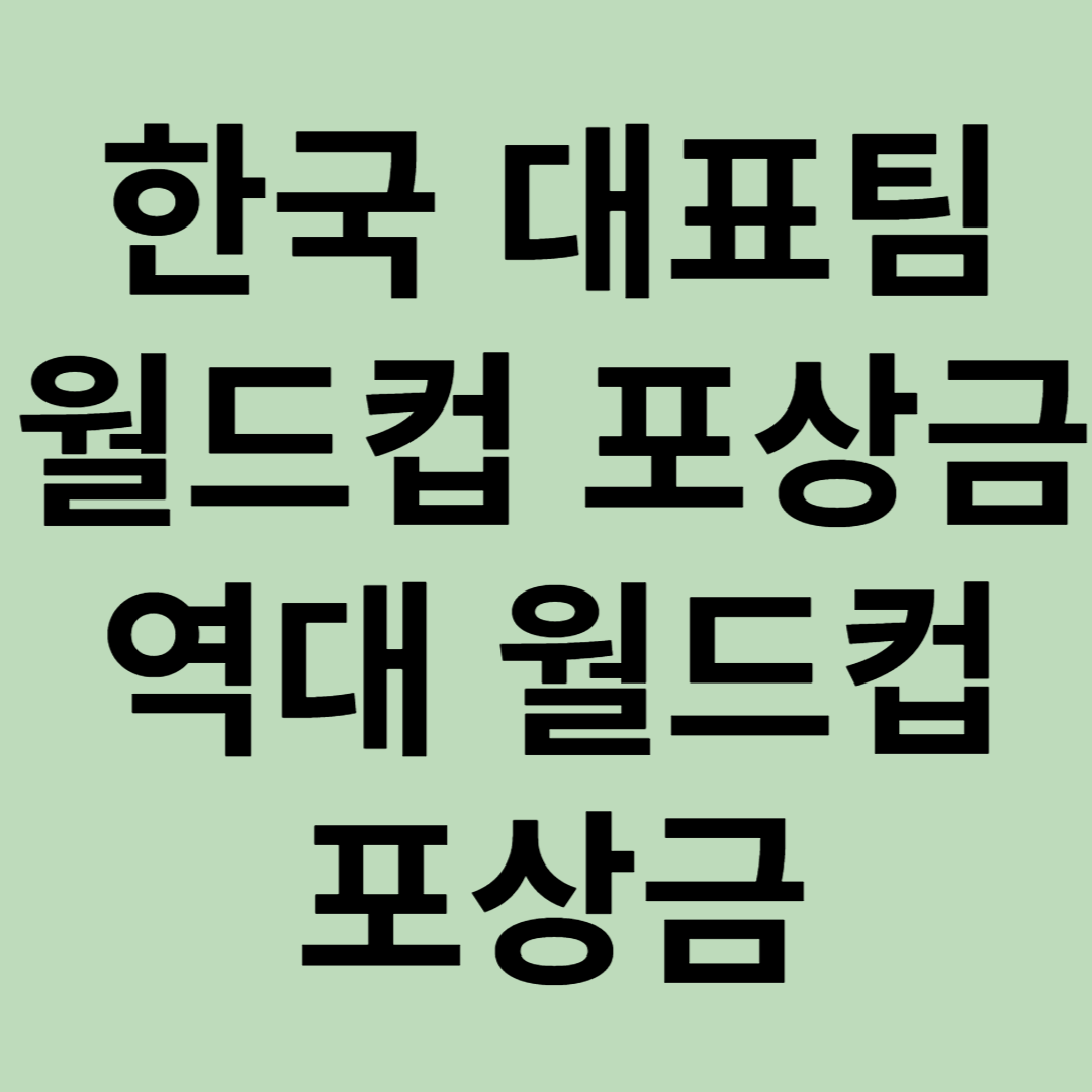 한국 대표팀 포상금