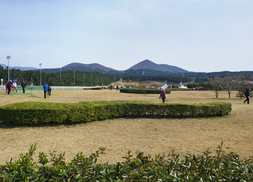 제주도 애월읍 렛츠런파크 파크골프장 소개 (렛츠런파크 제주말 테마파크 골프장)