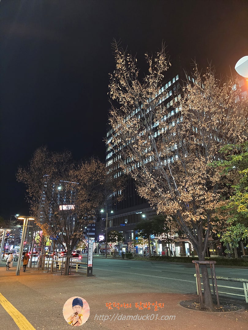 와타나베도리