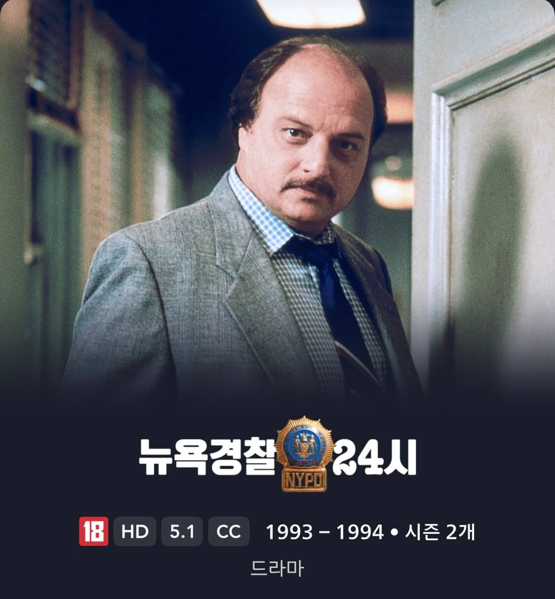 뉴욕경찰 24시