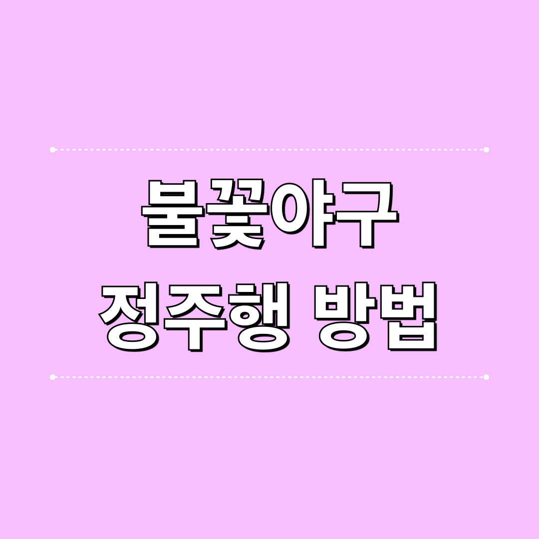 불꽃야구_정주행방법