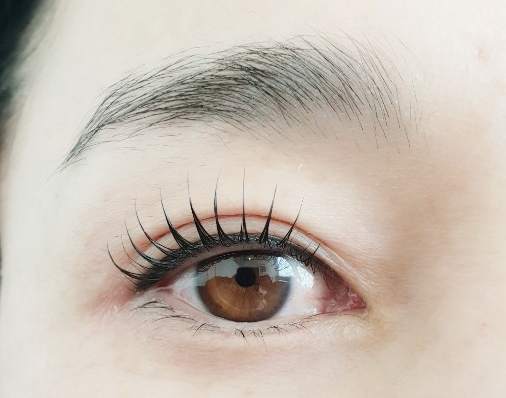 속눈썹 파마