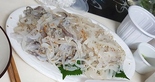 6월 제철회 6가지 추천