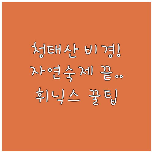 아이들 자연관찰 숙제하기 좋은 청태산..
