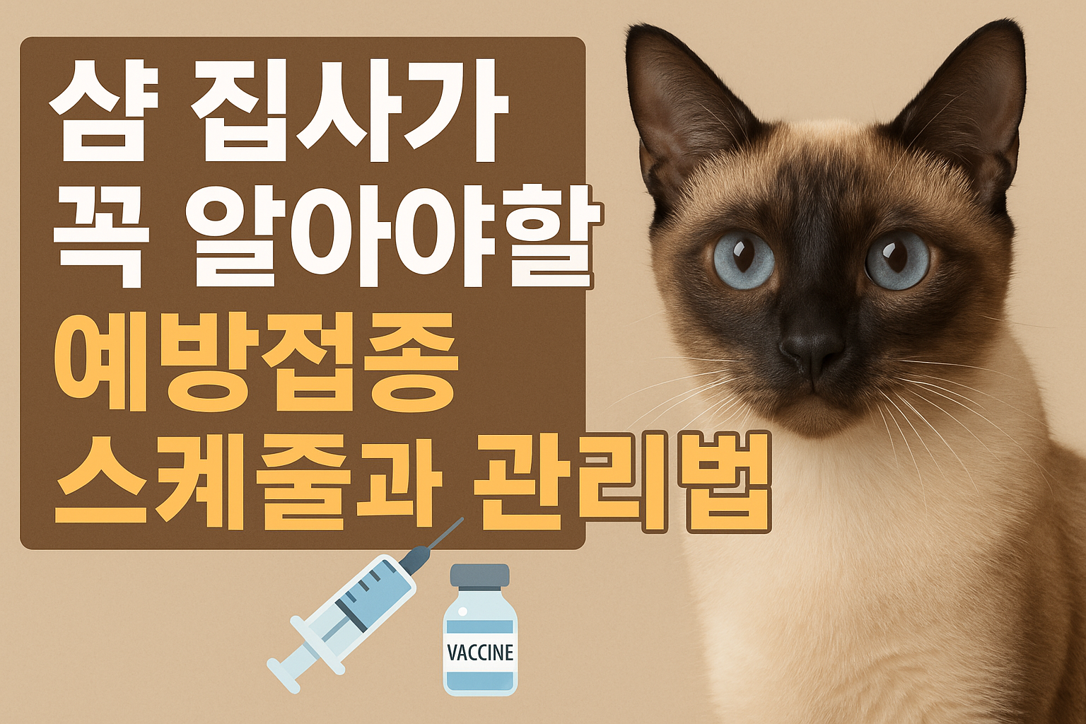 샴 고양이