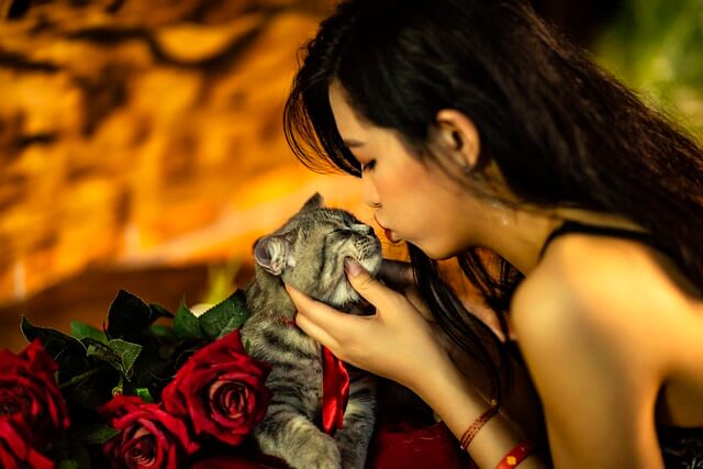 챗 gpt 4.0 지금 바로 사용하세요