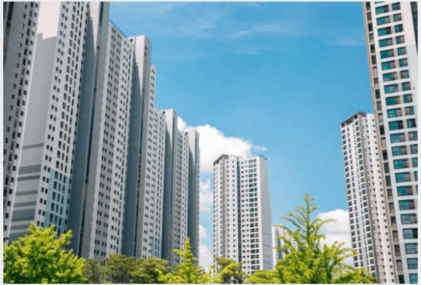 한국 축구 중계 실시간