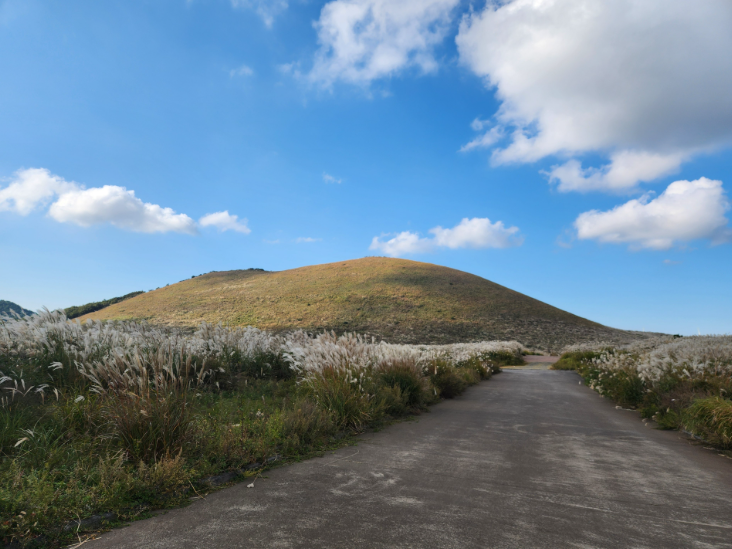 새별오름과 맑은 하늘 그리고 억새