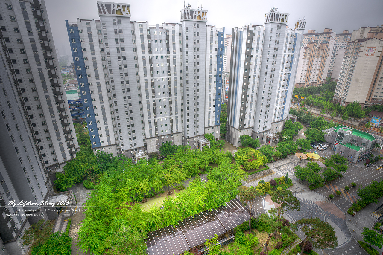 #녹색 #아파트 #나무 #청주 #오창 #오창대성베르힐