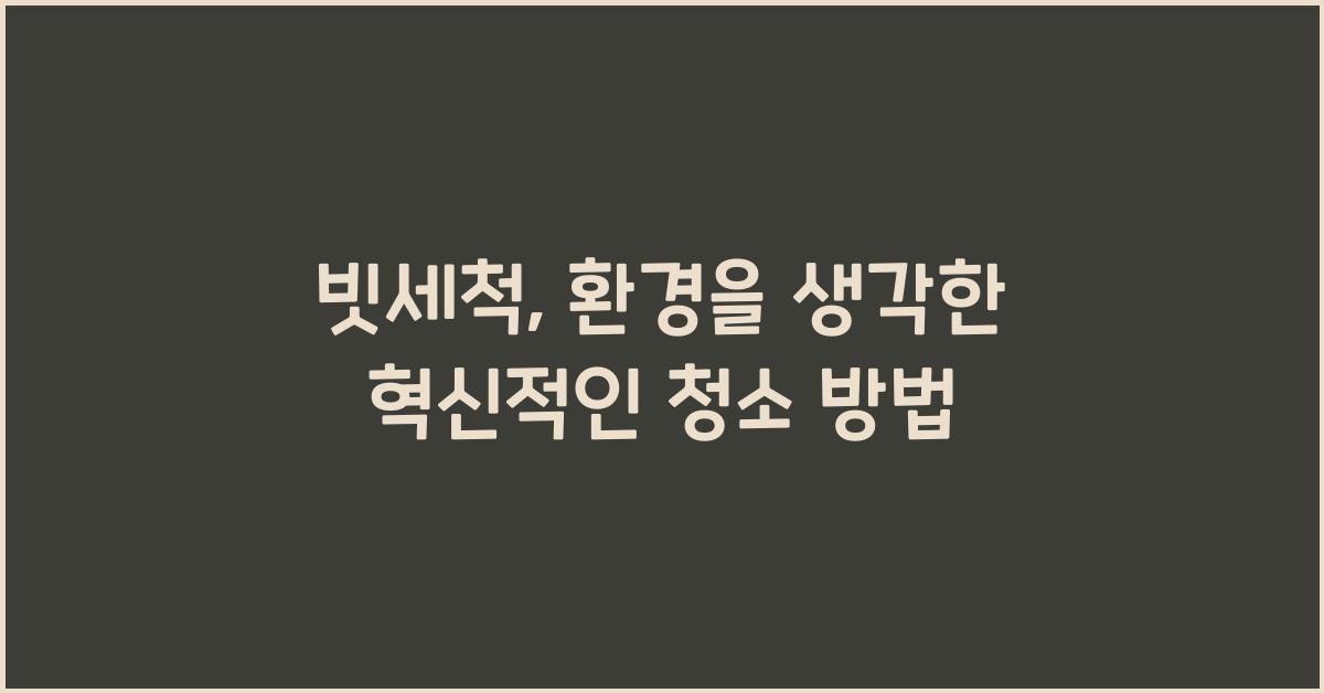빗세척