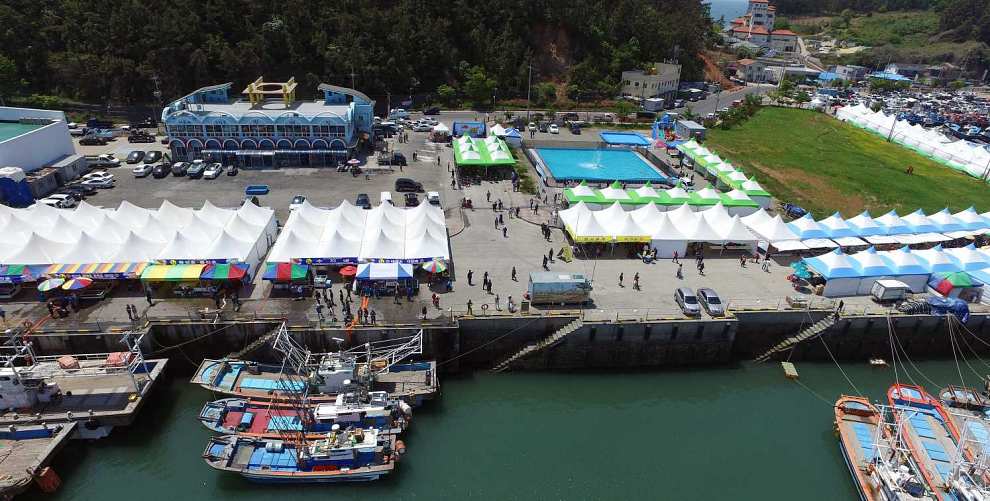 서천 자연산 광어 도미 축제 기본정보
