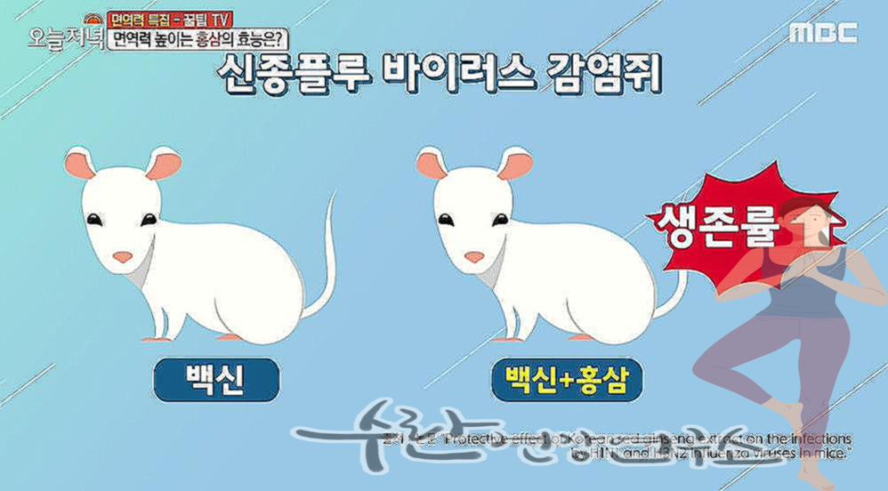 홍이장군 1단계 2단계 3단계