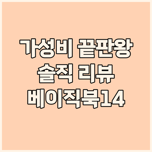 가성비 노트북 끝판왕 베이직스 202..
